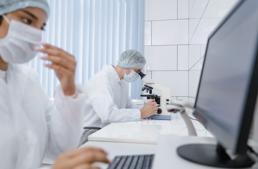 What the Dutch Talent Strategy Means for Highly Skilled Migrants