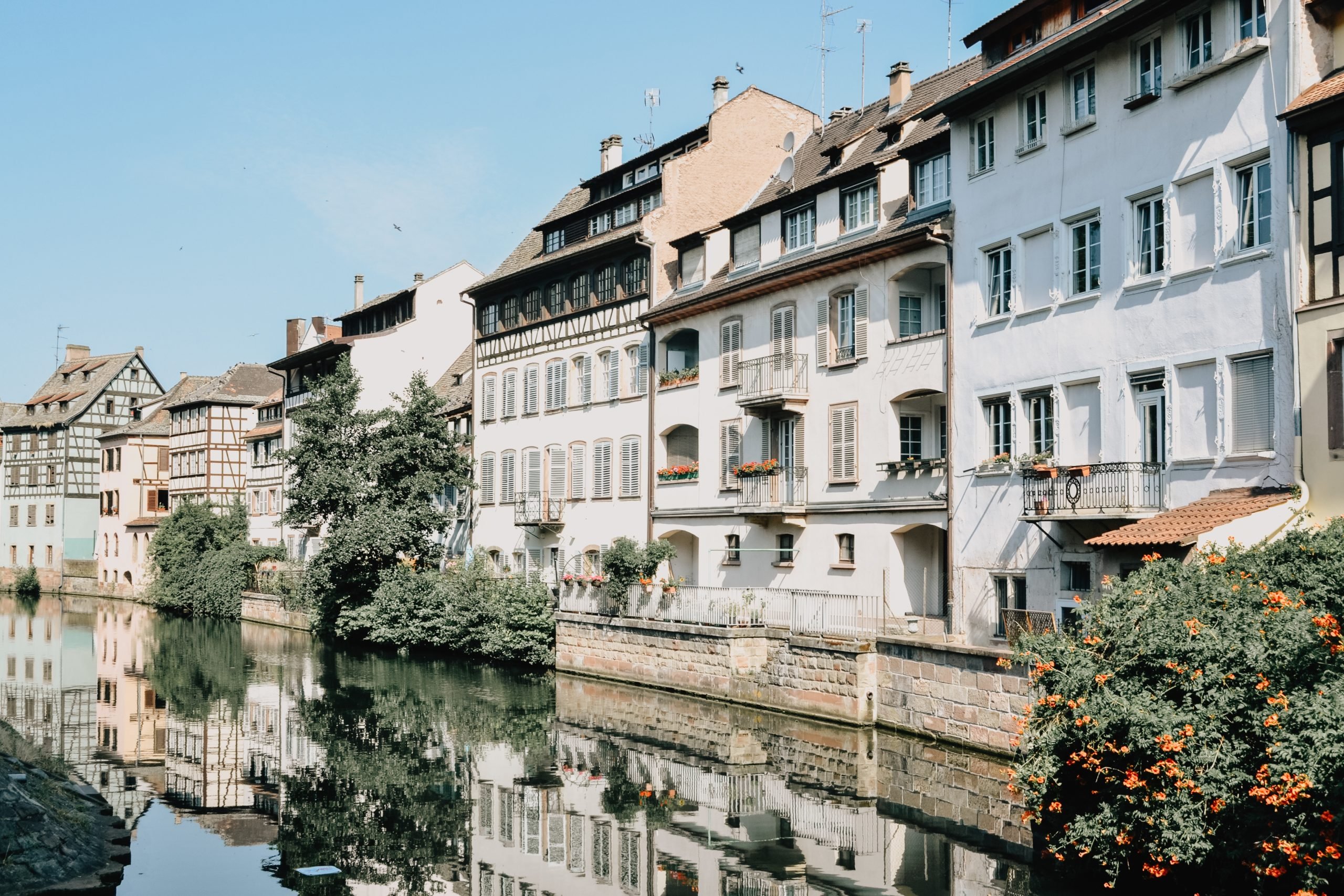 Navigating the expat housing bottleneck: Securing quality housing under Dutch rent regulations